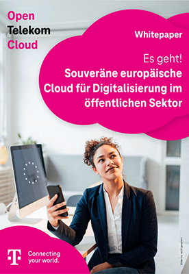 Bild erste Seite PDF zu Public Cloud