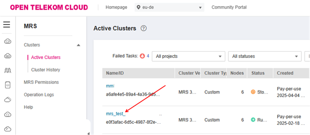 Screenshot MRS Instance