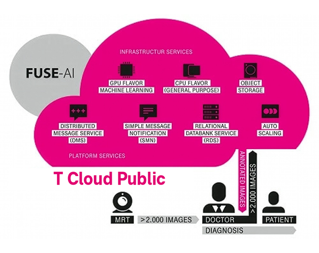 Infographic showing how Fuse-AI uses T Cloud Public.