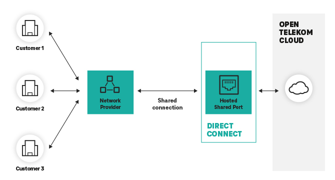 Structure and function of Direct Connect: Hosted shared port